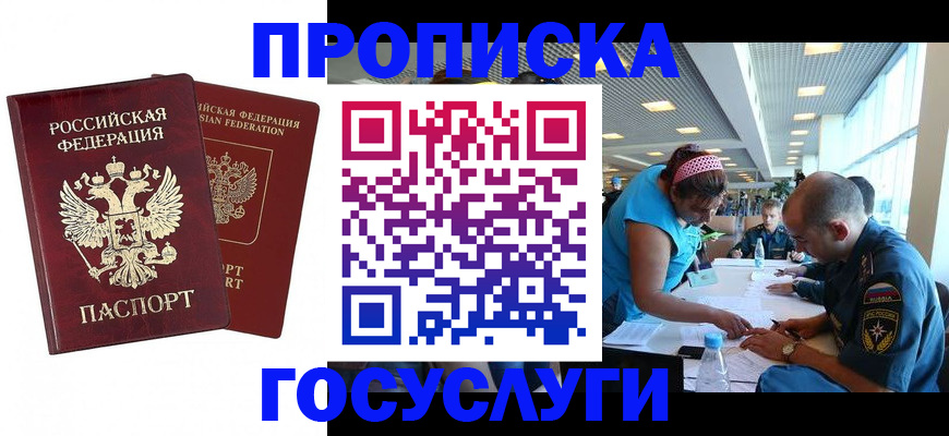 прописка поиск в Опочке