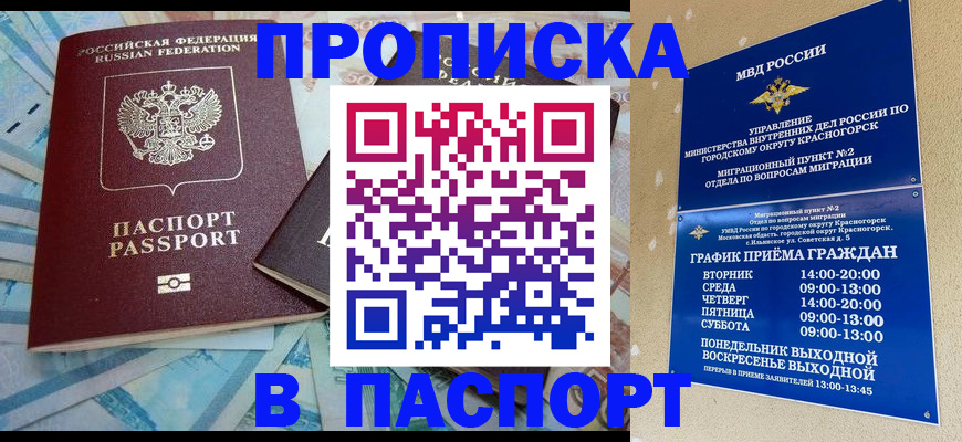 найти адрес прописки в Опочке